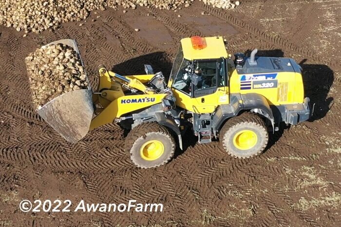 SODANE - 北海道十勝ではビート（甜菜）の収穫に糖度の測定も！今年の